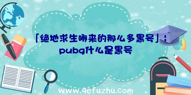 「绝地求生哪来的那么多黑号」|pubg什么是黑号